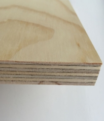 TP 12mm x 1.2m x 2.4m Structural Softwood Ply (B Grade Face)