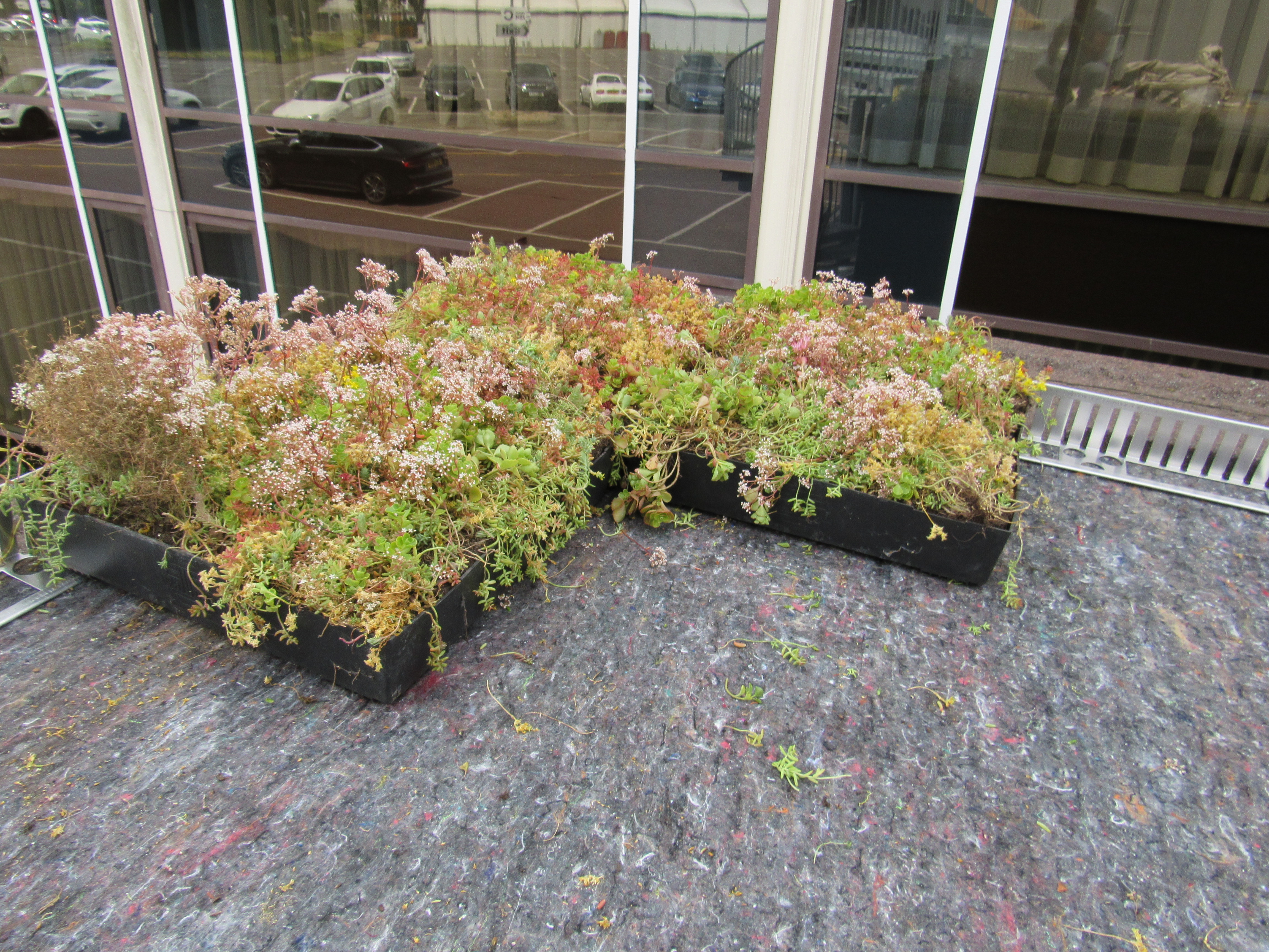 GE-PE-PECT-0300-Z 4 GE-PE-PECT-0300-Z