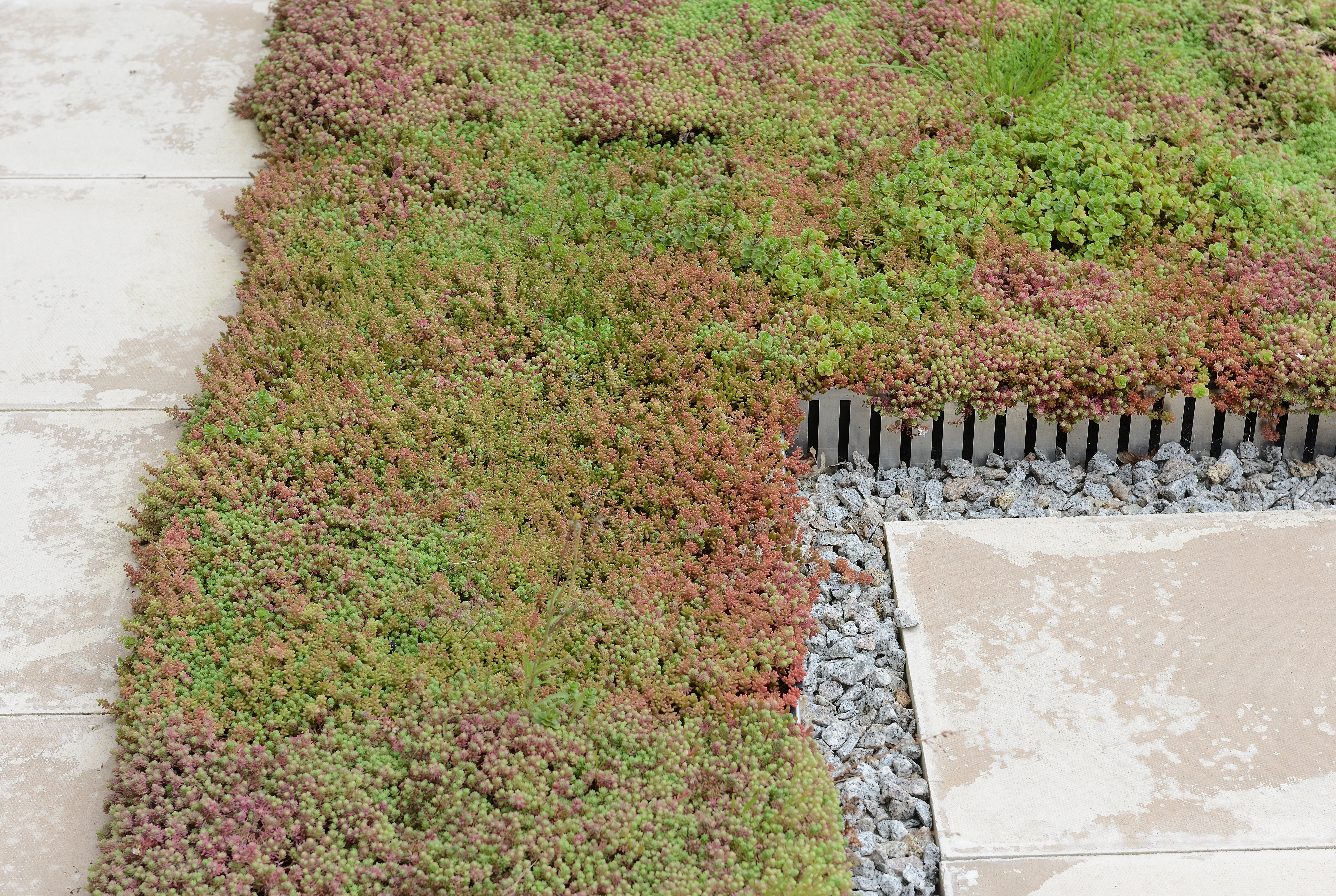 GE-PE-PECT-0300-Z 6 GE-PE-PECT-0300-Z