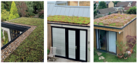 GR-MTRAY-100-SEDUM-Z