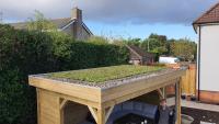 GR-MTRAY-100-SEDUM-Z