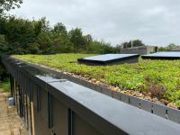 GR-MTRAY-100-SEDUM-Z