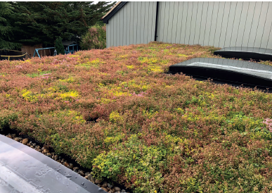 GR-MTRAY-100-WILDFLOWER-Z