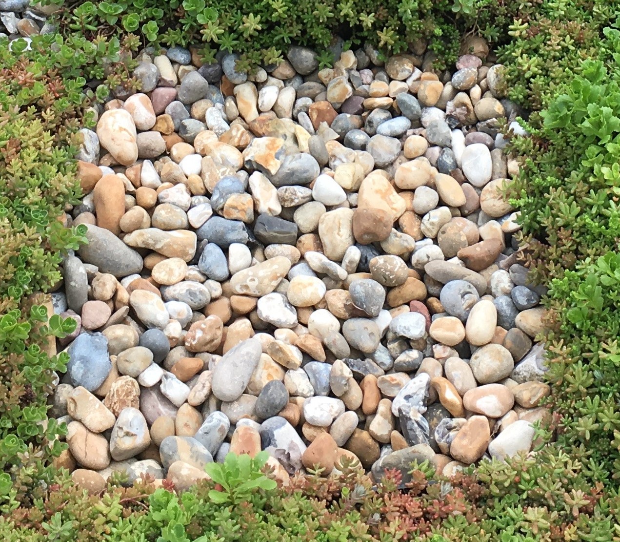 Wallbarn 20 40mm Washed Rounded Pebbles Bulk 1 Tonne Bag 1 pallet The Roof Shop