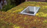 Sedum Rollout Green Roof 100m² Kit