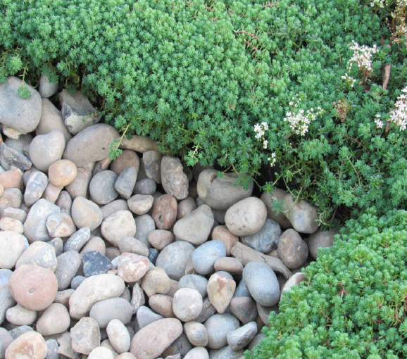 mtray_90m2_kit 11 mtray_90m2_kit